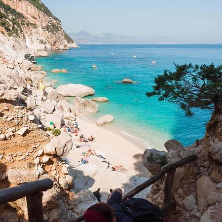 Agriturismo Funtan'Arva Loculi Εξωτερικό φωτογραφία