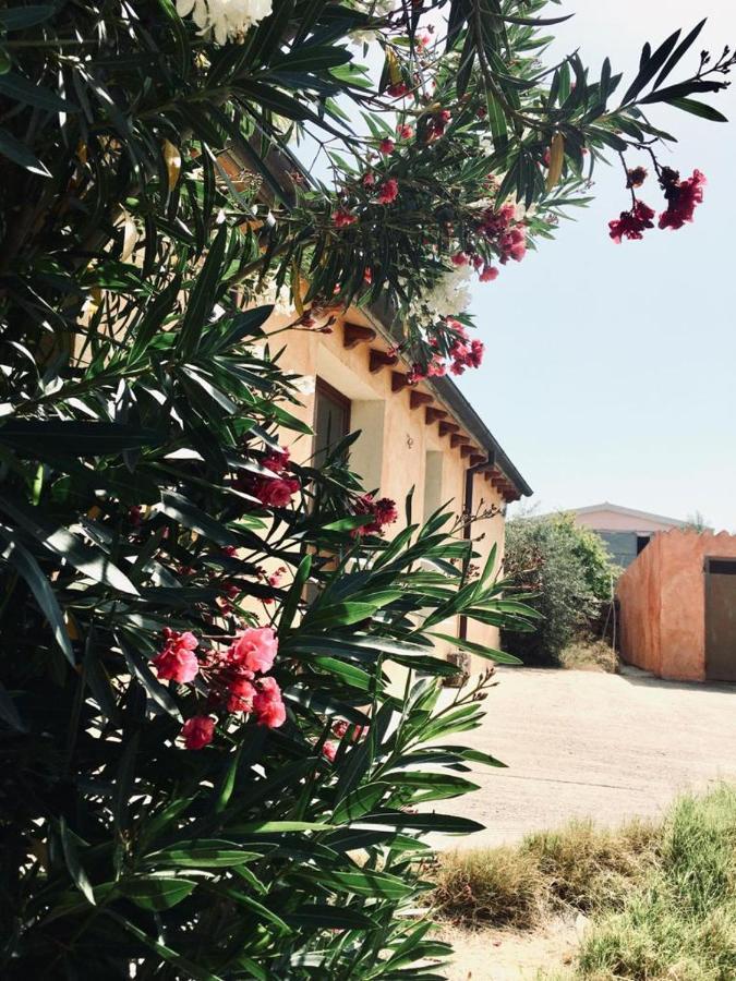 Agriturismo Funtan'Arva Loculi Εξωτερικό φωτογραφία