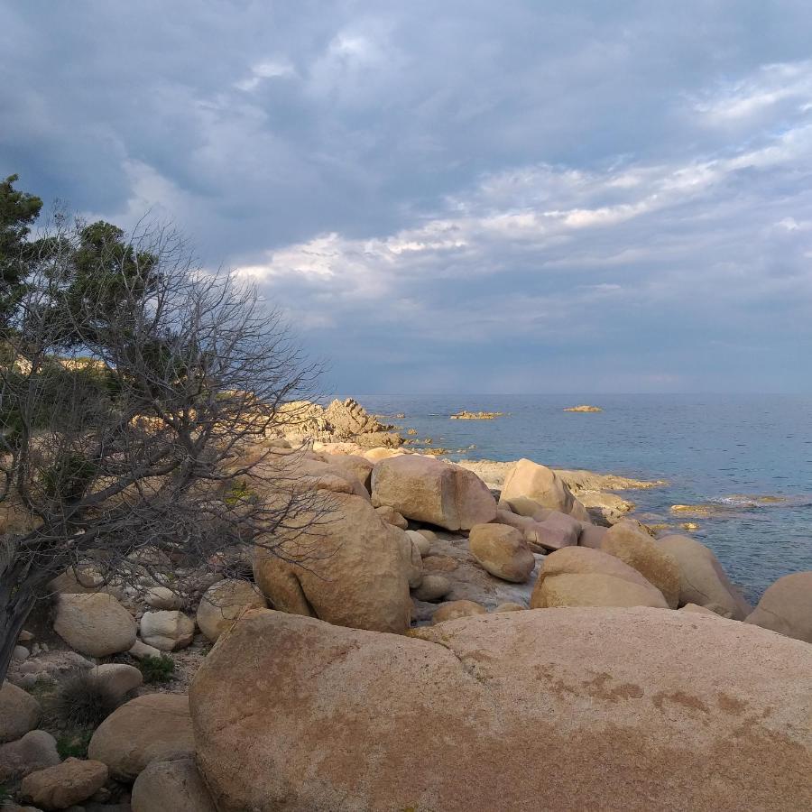Agriturismo Funtan'Arva Loculi Εξωτερικό φωτογραφία